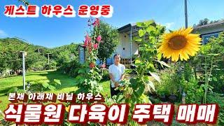 358식물원다육이 주택 경북 청송 전원주택 청송부동산