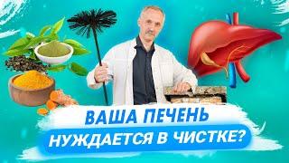 Чистка печени - факты и мифы / Как влияют на печень лекарства, продукты и алкоголь / Доктор Виктор