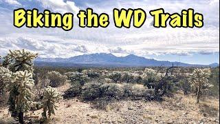 Biking West Desert Trails Part 2 - Green Valley Arizona