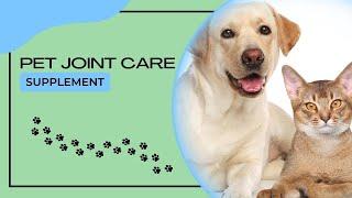 Natural Solution for Dog and Cat Joint Pain | Natural Anti-Inflammatory Supplements for Pets