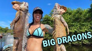 Hunting Iguanas with Air Rifles *Heatherlynnoh and PythonCowboy*