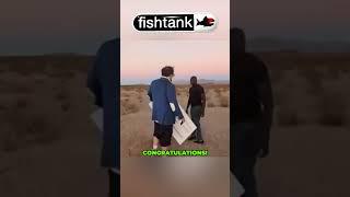 Burt wins Fishtank live Season 3! RECAP 