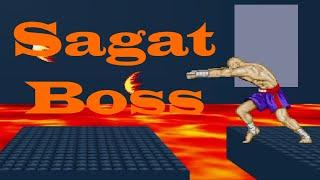 Sagat Boss - I Wanna Test The Game