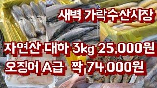 물먹지 않은 동태포, 자연산대하  3키로 25,000원, 오징어 A급 등 저렴하고 매력 있네요.[새벽가락수산시장]