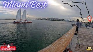 Fishing in MIAMI ( 5 top best LOCATIONS)*Everything you need to know