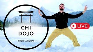 Chi Dojo: Live Qigong Class | Shaolin Stretches, Spinal Mobility, & Killer Whale Qigong