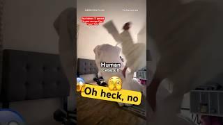 They built a full human catapult to launch out of bed and I’m 94% it's game over ‍ Human catapult