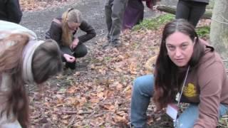 Foraging at Jijak for Food and Salads - 2016