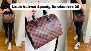 The BEST LOUIS VUITTON BAG, Ever?