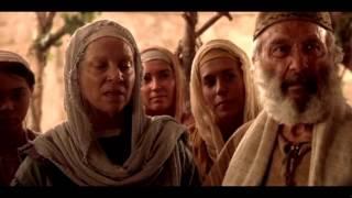 The Chronological Gospel of Jesus Christ (Movie)