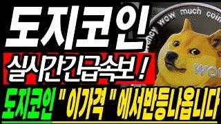 [도지코인 코인전망] 도지 코인 "여기서" 반등나옵니다 트럼프 50% 충격속보 #도지코인 #도지코인전망 #도지코인시세 #도지코인실시간
