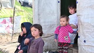 MSF: International Review of the Year 2020