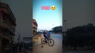 Noob pro legend #bike #stunt #cycling #cycle #mtb #wheelie #shorts #viralvideo