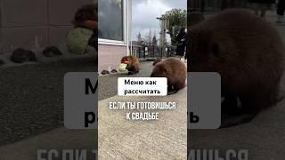 Как правильно рассчитать меню для свадьбы