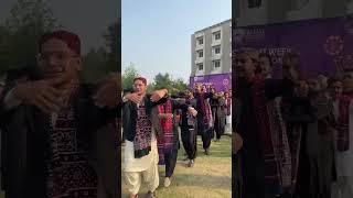 Sindhi cultural day  |#culture #sindhi #vlog