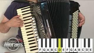 Aula para iniciante de acordeon - Thiago Moraes