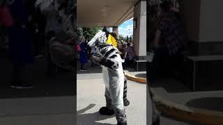 FurEH! 2019 - Cassidy the Civet