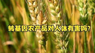 转基因农作物对人体有害吗？各种科技与狠活食材诞生，谁敢吃？