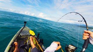 Offshore Kayak Fishing for HUGE Fish with Lures (Multi Species Non-Stop Action!)