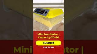 Efficient Mini Incubator for Egg Hatching