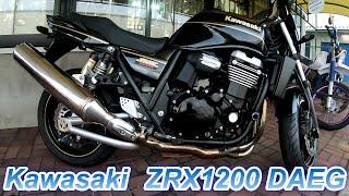 Kawasaki　ZRX1200 DAEG Pearl　Meteor　gray　metallic　sparkblack