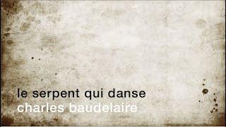 La minute de poésie :  Le serpent qui danse [Charles Baudelaire]