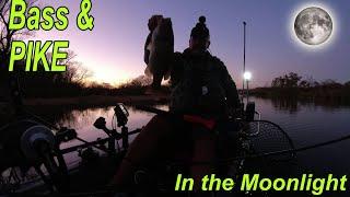 AWESOME Moonlight Bass and Pike Kayak Fishing [Creek Fishing Adventures]