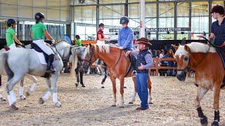 Helping an Anxious Horse While Riding in a Busy Arena