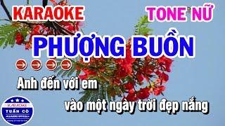 Karaoke Phượng Buồn | Nhạc Sống Tone Nữ Dễ Hát | Karaoke Tuấn Cò