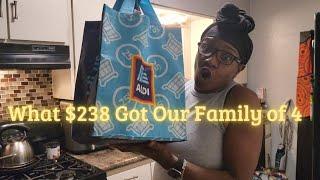 ALDI GROCERY HAUL | What We Got for $248.43 | Wellness With FrugalMama