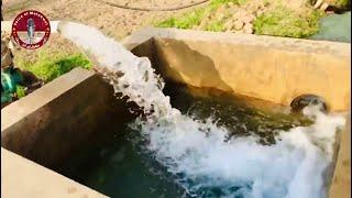 Beautiful Views of Malakwal Part 2 l Voice of Malakwal 2021 l Malakwal city Mandi Bahauddi