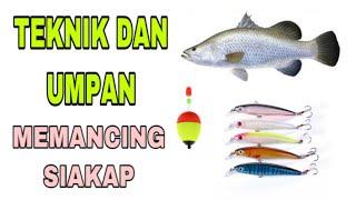 Teknik Dan Umpan Memancing Siakap Muara