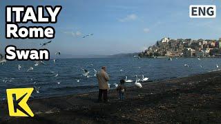 【K】Italy Travel-Rome[이탈리아 여행-로마]바다와 백조와 할아버지/Swan/Sea/Roma