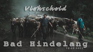 Viehscheid Bad Hindelang | 10.09.2022