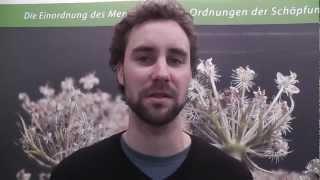 Ökologische Saatgutzüchtung