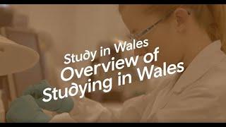 Overview of Studying in Wales