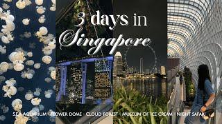 Singapore Travel Vlog 2024  