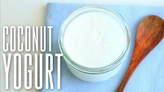 Yaourt Maison au Lait de Coco | Recette VEGAN | Alternatives sans Yaourtière