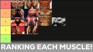 The Most Important Body Parts in Bodybuilding Ranked