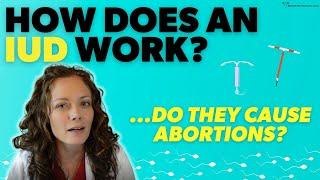 How IUDs work: do they cause abortions? |  Dr. Jennifer Lincoln