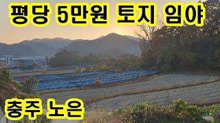 평당 5만원대 충주 토지 임야 조용한곳 독립적인 귀농귀촌 전망이 아름다운 싼땅 집터 전원주택지 충주시 노은면