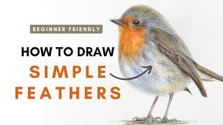 How to Draw Simple Feathers on a Bird. Beginner Coloured Pencil Tutorial