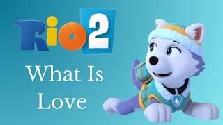 Paw Patrol - What Is Love - Rio 2