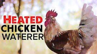 Heated Waterer for Chickens in Winter