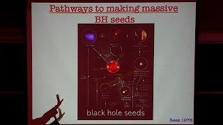 Planting Seeds: Assembling the First Black Holes in the Universe | Priya Natarajan