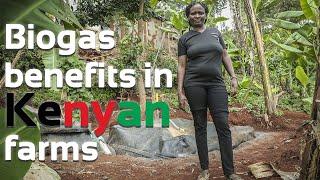 For Marie the biogas and benefits of Sistema.bio overweighed the status quo