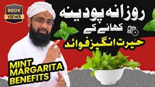 Health Benefits of MINT - PUDINA ke Fayde aur Nuksan - Soban Attari - Mint Margarita Recipe