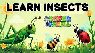 Cartoon – Kids Songs – Baby Learning Videos | Learn INSECTS | Super Renell Toddler Learning Video