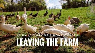 Prepping for Vacation, How this farmer goes out of town // Diary of a Permaculture Homesteader, Ep 6