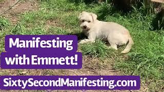 Neville Goddard's Feel It Real in 60 Seconds!  SPECIAL Manifesting with Emmett